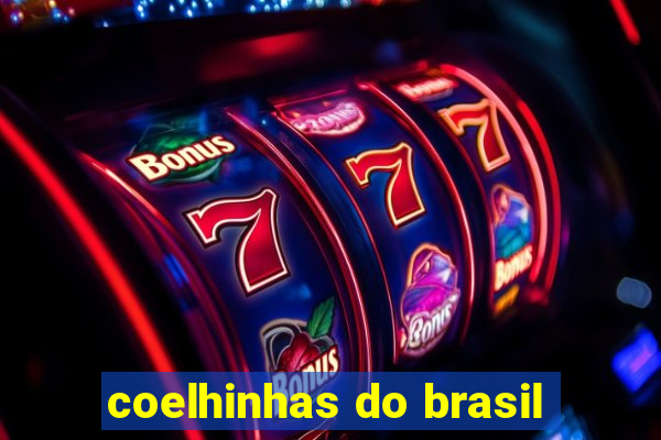 coelhinhas do brasil